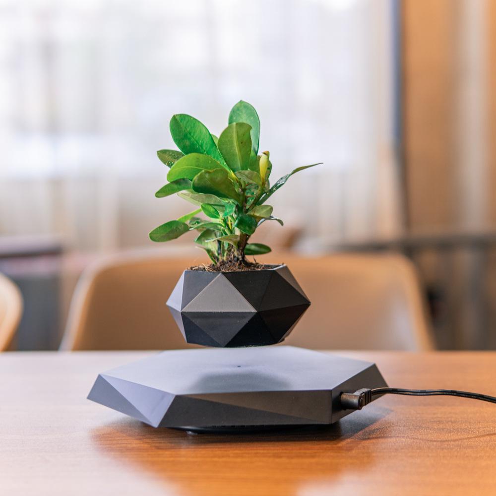 Floating Magnetic Levitating Flower Pot Bonsai Air Plant Pot Planter Potted For Home Office Desk Decor Creative Gift 2