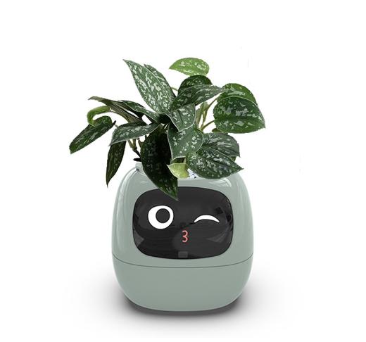 Smart Planter Endless Fun Over 49 Rich Expressions 7 Smart Sensors And AI Chips Make Raising Plants Easy And Fun 99